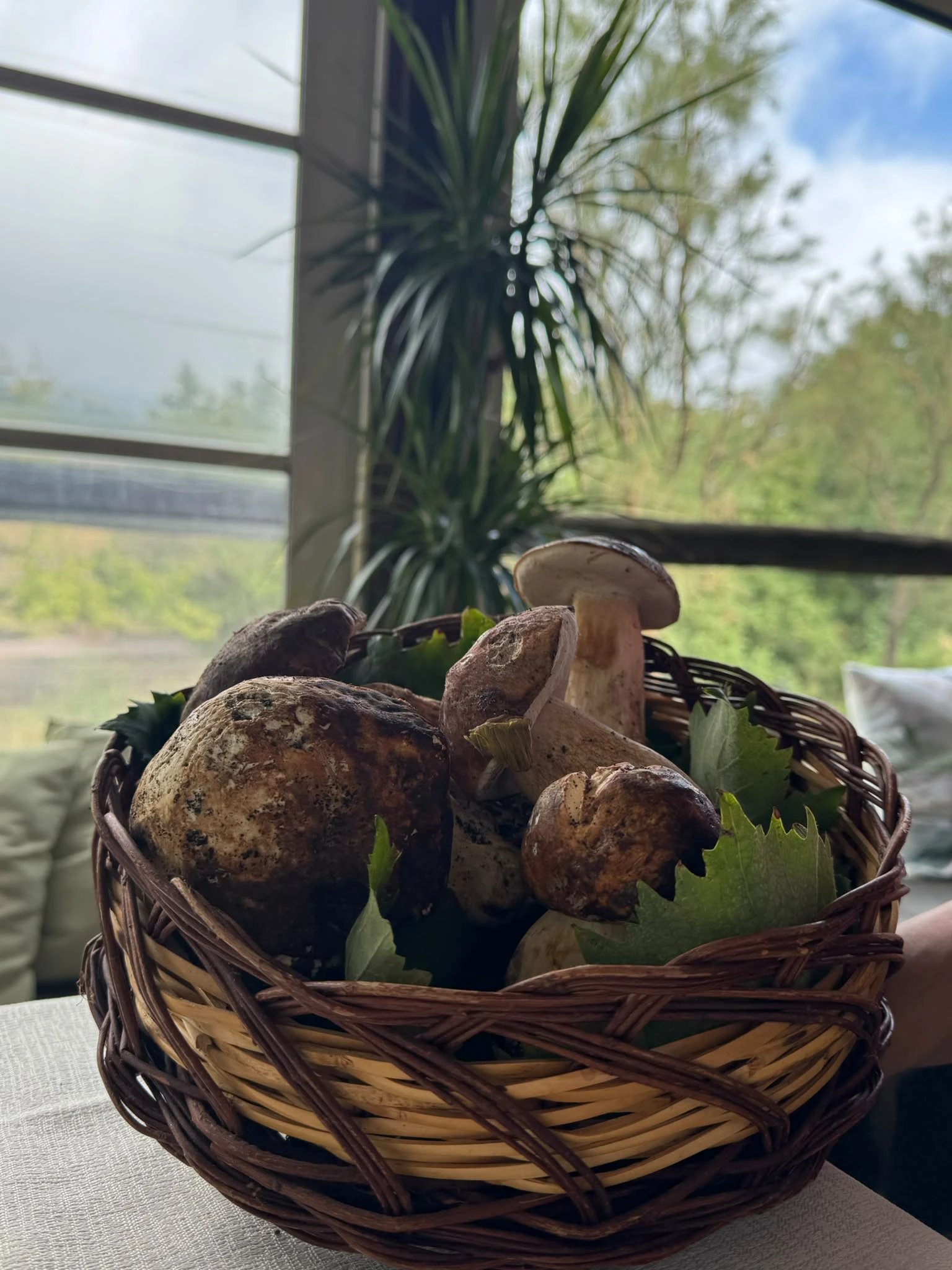 Contorni del Ristorante da Rinuccio